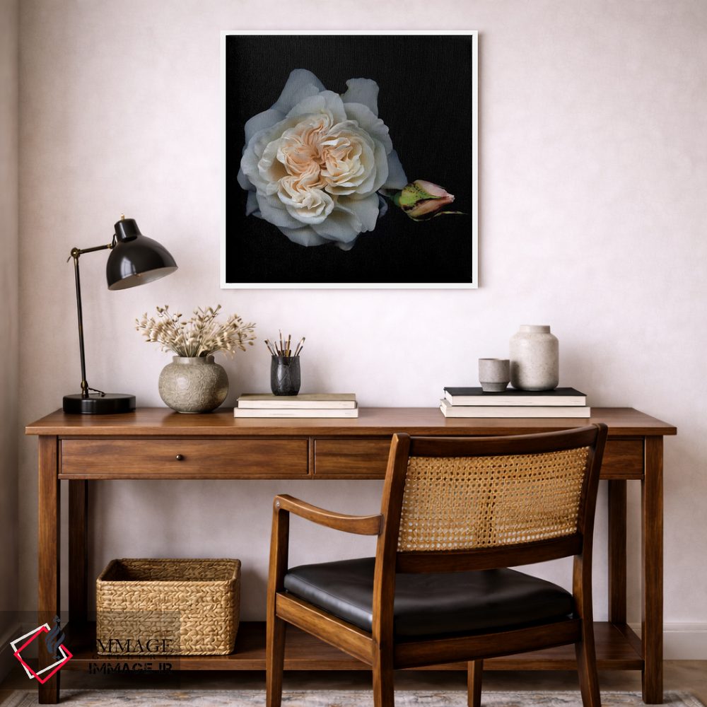 تابلو دکوراتیو رز سفید یک اثر مگدا ایندیگو - D6W