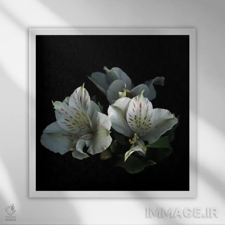 تابلو دکوراتیو از نو شروع کنیم اثر مگدا ایندیگو - نمای قابدار سفید