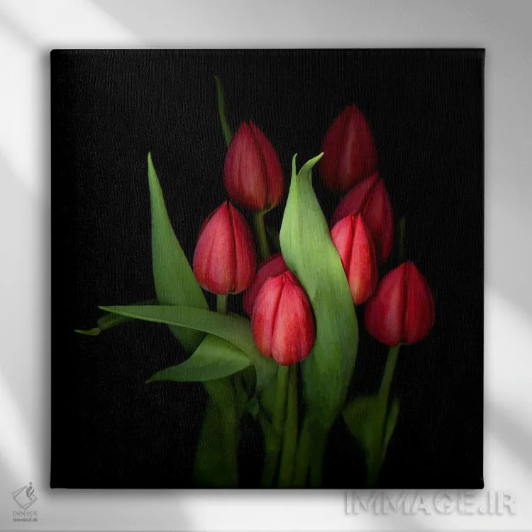 تابلو دکوراتیو گروهی از لاله های قرمز بسته با برگ های سبز اثر مگدا ایندیگو - نمای روبهرو روی دیوار