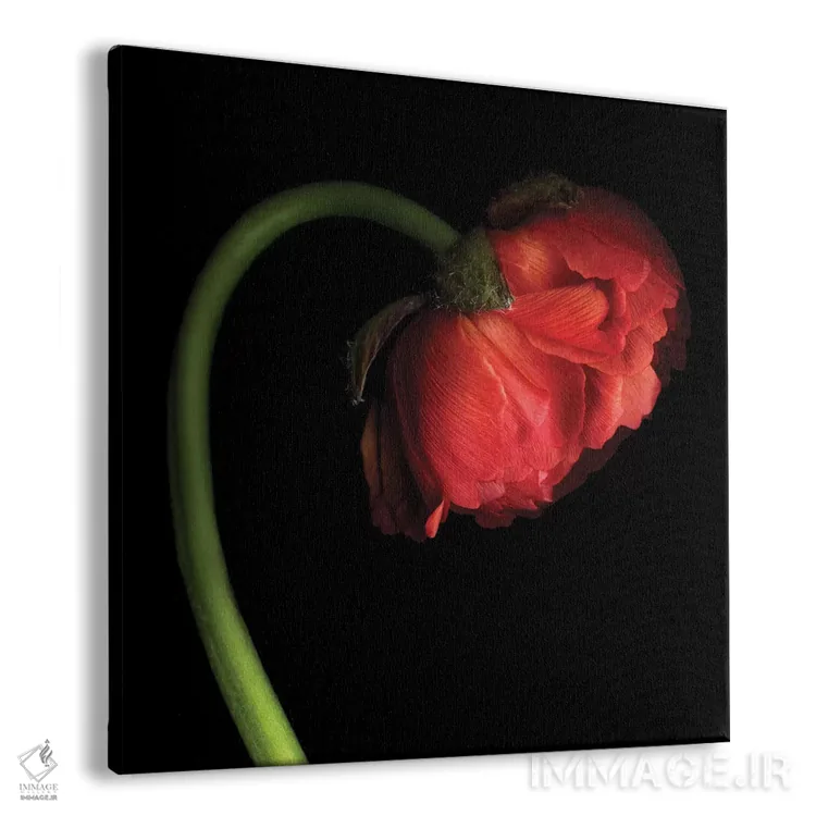 تابلو دکوراتیو فانوس قرمز کوچک اثر مگدا ایندیگو - نمای پرسپکتیو محصول