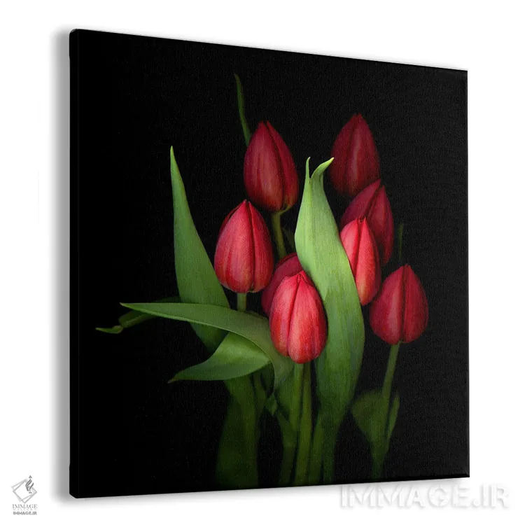 تابلو دکوراتیو گروهی از لاله های قرمز بسته با برگ های سبز اثر مگدا ایندیگو - نمای پرسپکتیو محصول