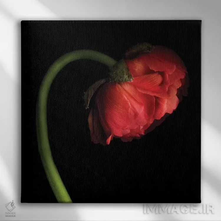 تابلو دکوراتیو فانوس قرمز کوچک اثر مگدا ایندیگو - نمای روبهرو روی دیوار