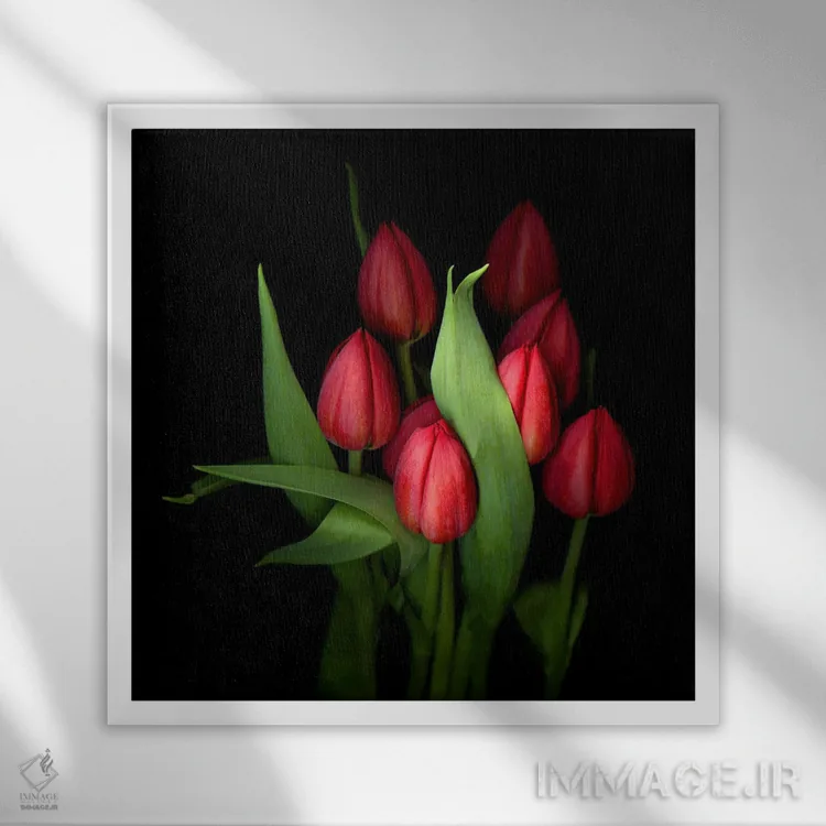تابلو دکوراتیو گروهی از لاله های قرمز بسته با برگ های سبز اثر مگدا ایندیگو - نمای قابدار سفید