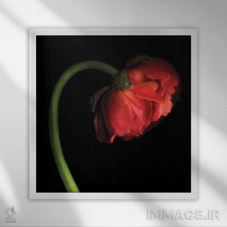 تابلو دکوراتیو فانوس قرمز کوچک اثر مگدا ایندیگو - نمای قابدار سفید