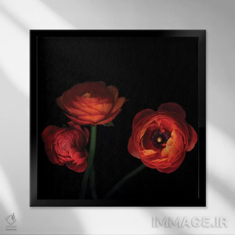 تابلو دکوراتیو اورانژری اثر مگدا ایندیگو - نمای قابدار مشکی