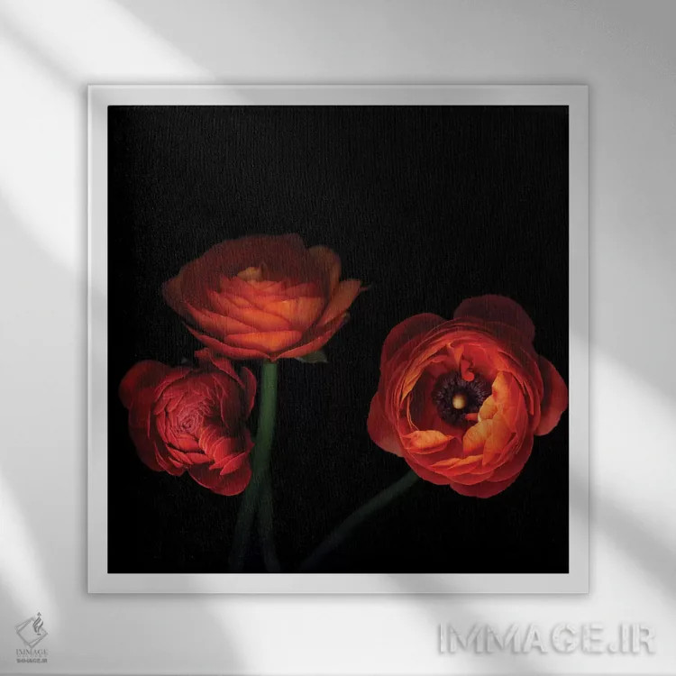 تابلو دکوراتیو اورانژری اثر مگدا ایندیگو - نمای قابدار سفید