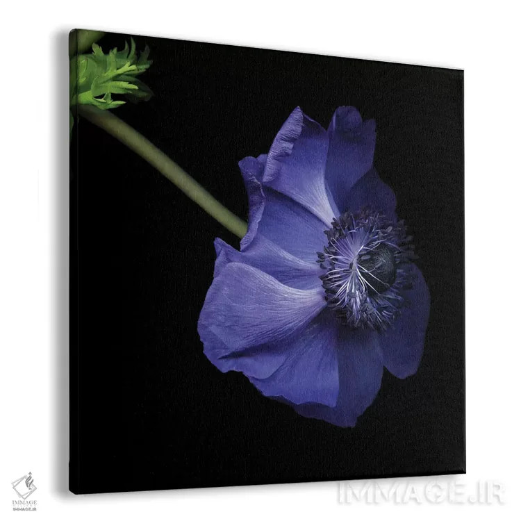 تابلو دکوراتیو آبی دلگیر اثر مگدا ایندیگو - نمای پرسپکتیو محصول