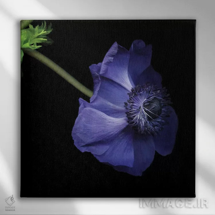 تابلو دکوراتیو آبی دلگیر اثر مگدا ایندیگو - نمای روبهرو روی دیوار