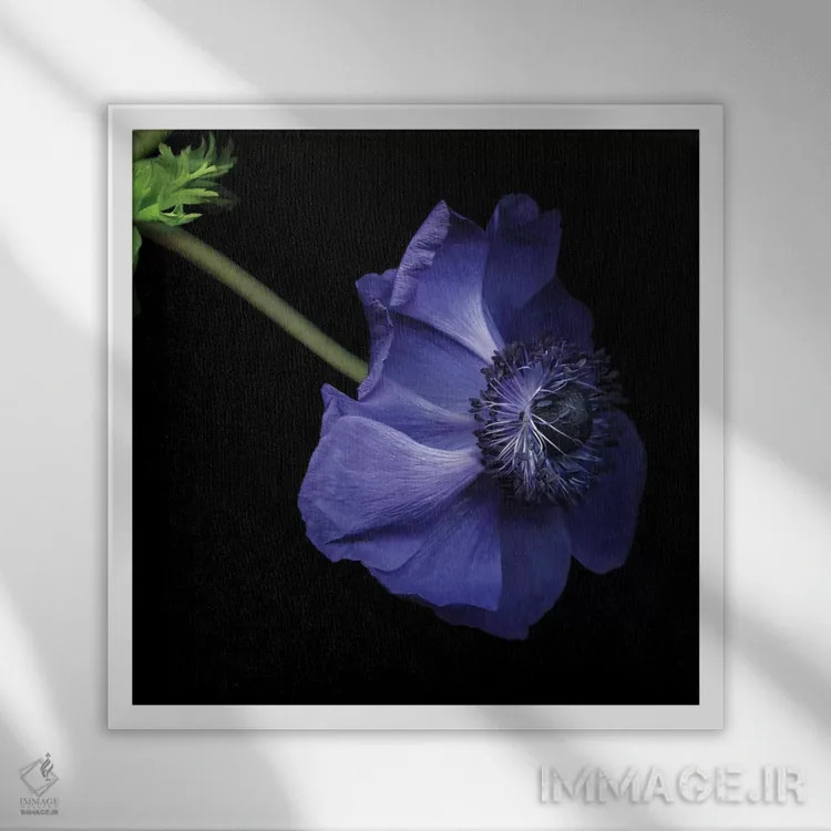 تابلو دکوراتیو آبی دلگیر اثر مگدا ایندیگو - نمای قابدار سفید