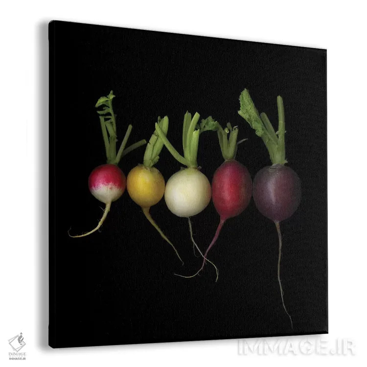 تابلو دکوراتیو نسخه های قدیمی اثر مگدا ایندیگو - نمای پرسپکتیو محصول