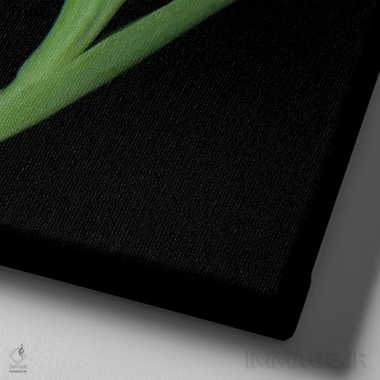 تابلو دکوراتیو سه لاله قرمز پشت سر هم اثر مگدا ایندیگو - نمای نزدیک بافت بوم