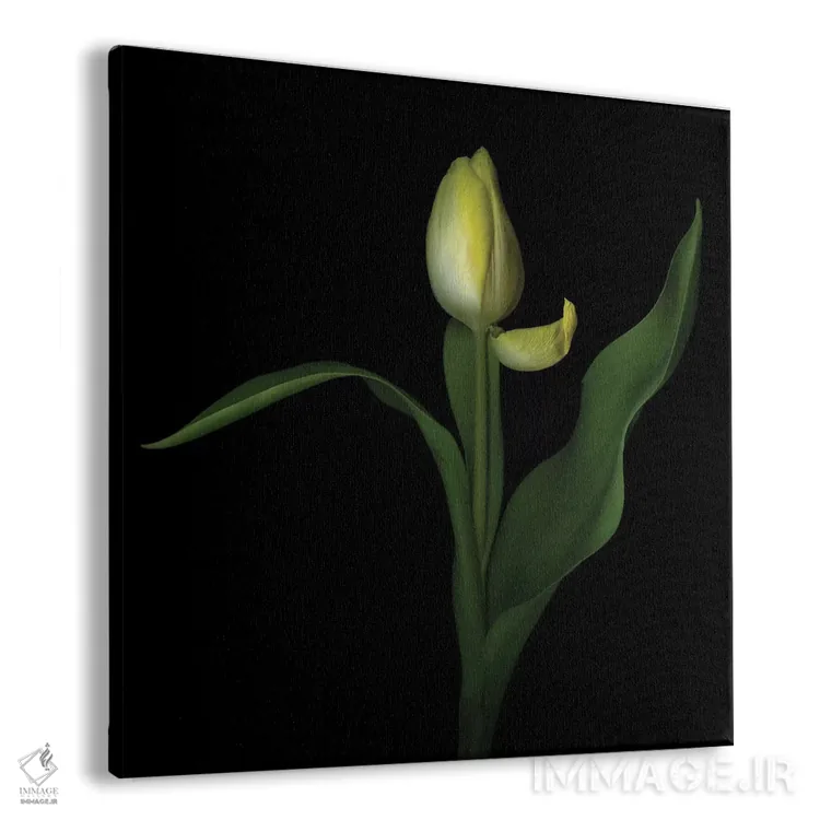 تابلو دکوراتیو بی تفاوتی اثر مگدا ایندیگو - نمای پرسپکتیو محصول