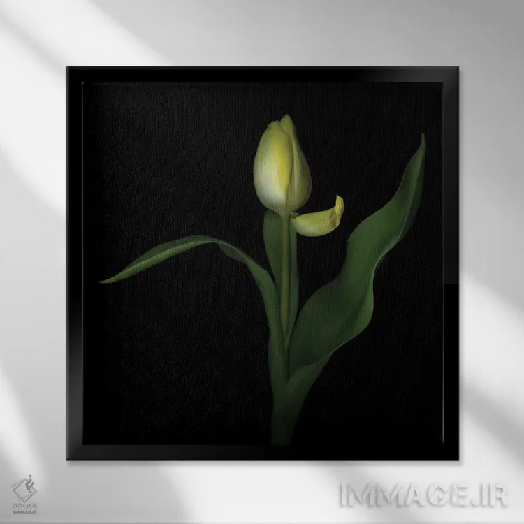 تابلو دکوراتیو بی تفاوتی اثر مگدا ایندیگو - نمای قابدار مشکی