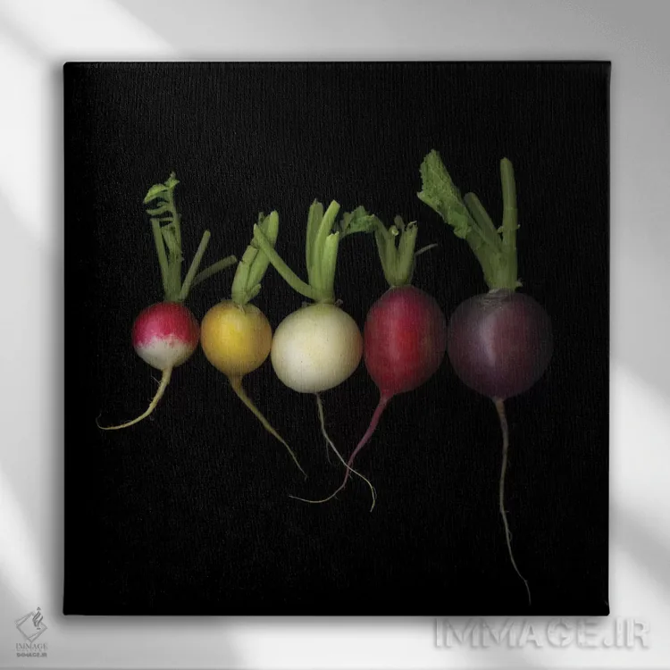 تابلو دکوراتیو نسخه های قدیمی اثر مگدا ایندیگو - نمای روبهرو روی دیوار