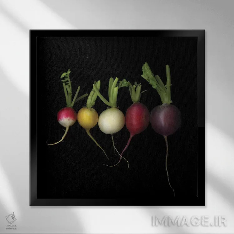 تابلو دکوراتیو نسخه های قدیمی اثر مگدا ایندیگو - نمای قابدار مشکی