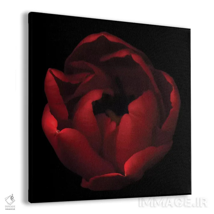 تابلو دکوراتیو دعوت نامه باز اثر مگدا ایندیگو - نمای پرسپکتیو محصول