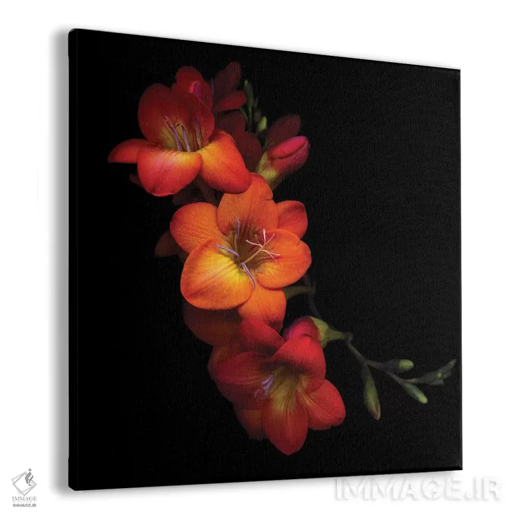 تابلو دکوراتیو نارنجی و ادویه اثر مگدا ایندیگو - نمای پرسپکتیو محصول