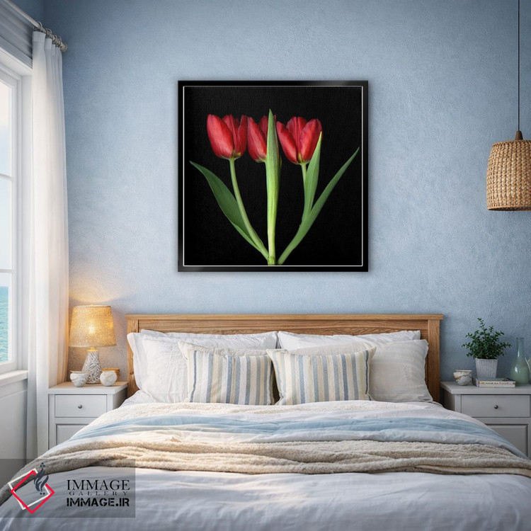 تابلو دکوراتیو سه لاله قرمز پشت سر هم اثر مگدا ایندیگو - D3B