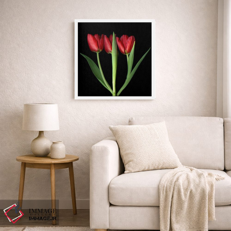 تابلو دکوراتیو سه لاله قرمز پشت سر هم اثر مگدا ایندیگو - D5W