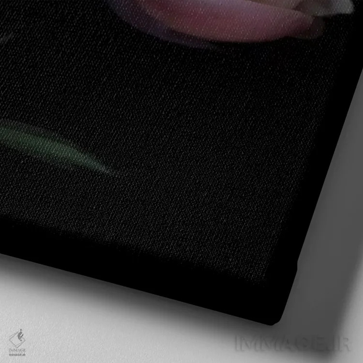 تابلو دکوراتیو یک روح تنها اثر مگدا ایندیگو - نمای نزدیک بافت بوم