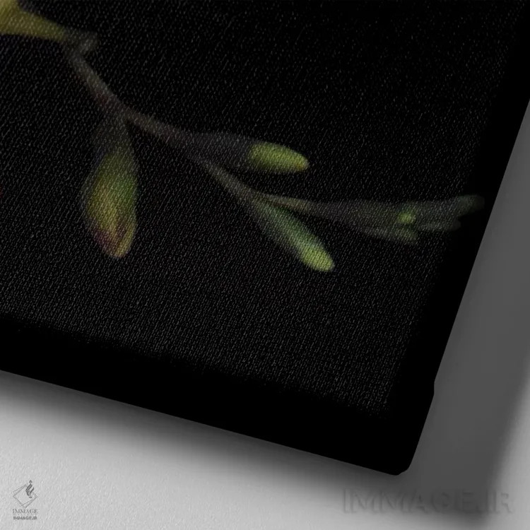 تابلو دکوراتیو نارنجی و ادویه اثر مگدا ایندیگو - نمای نزدیک بافت بوم