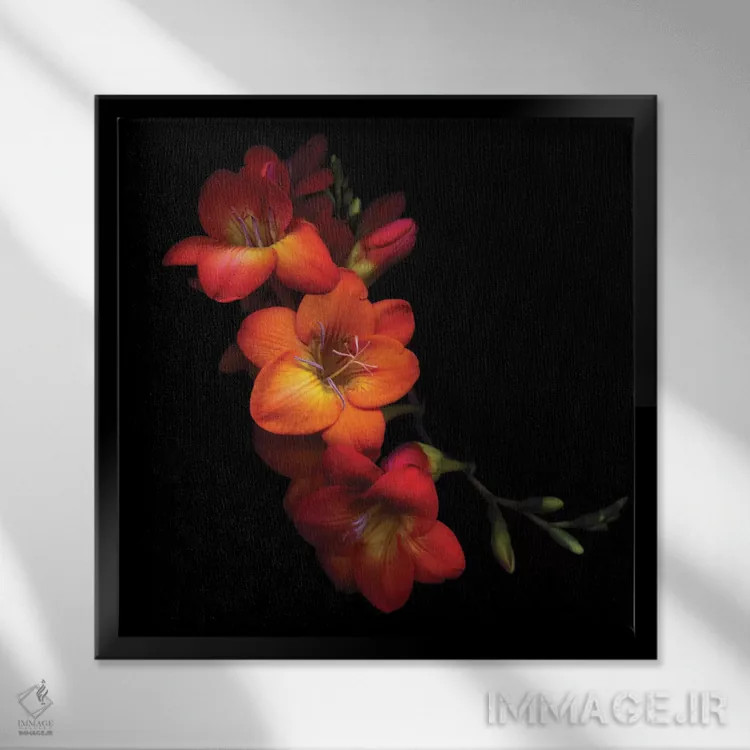 تابلو دکوراتیو نارنجی و ادویه اثر مگدا ایندیگو - نمای قابدار مشکی