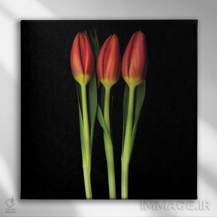 تابلو دکوراتیو سه گانه لاله قرمز اثر مگدا ایندیگو - نمای روبهرو روی دیوار
