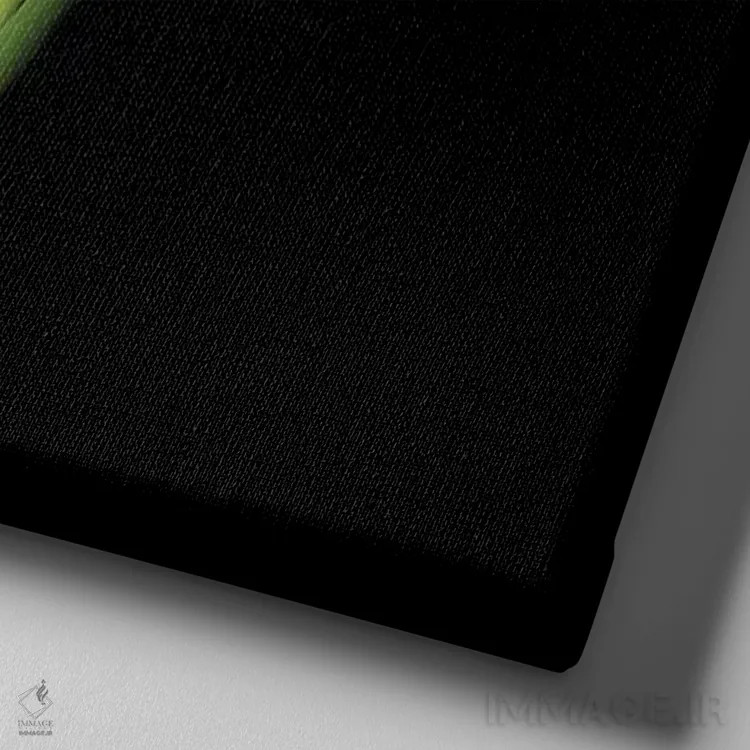 تابلو دکوراتیو سه گانه لاله قرمز اثر مگدا ایندیگو - نمای نزدیک بافت بوم