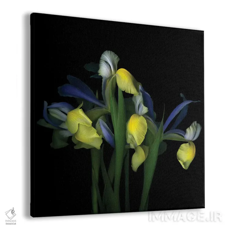 تابلو دکوراتیو نمایش پرزرق وبرق اثر مگدا ایندیگو - نمای پرسپکتیو محصول