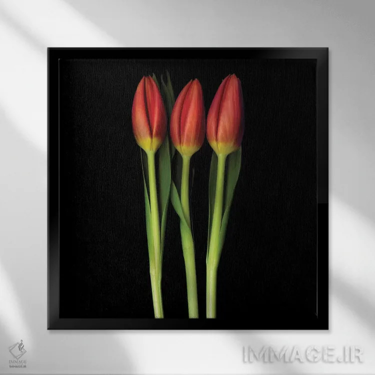 تابلو دکوراتیو سه گانه لاله قرمز اثر مگدا ایندیگو - نمای قابدار مشکی