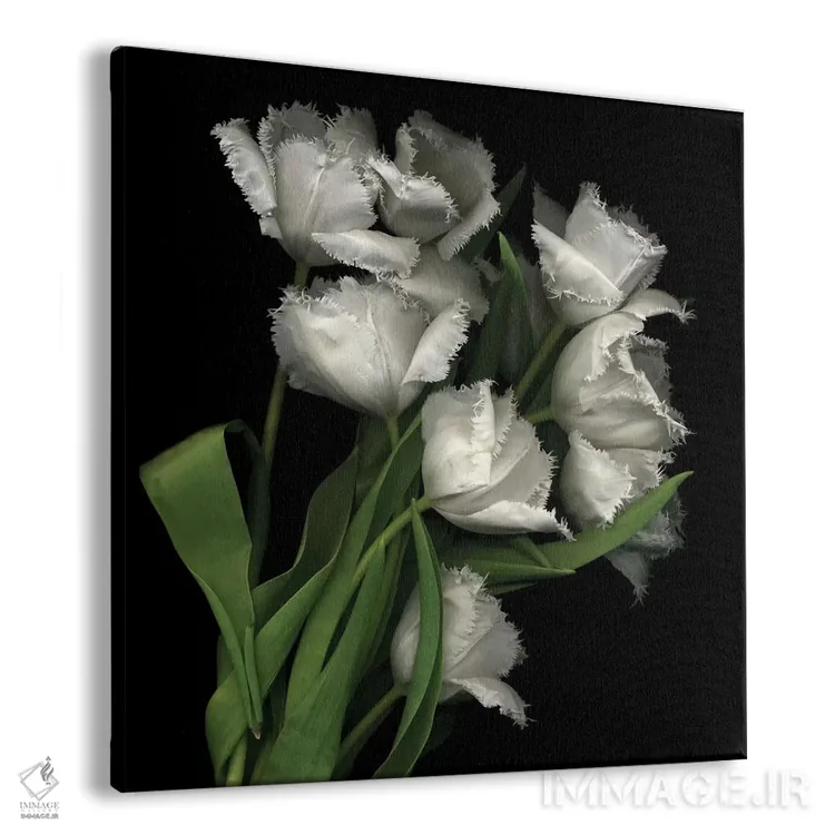 تابلو دکوراتیو حراج شده اثر مگدا ایندیگو - نمای پرسپکتیو محصول