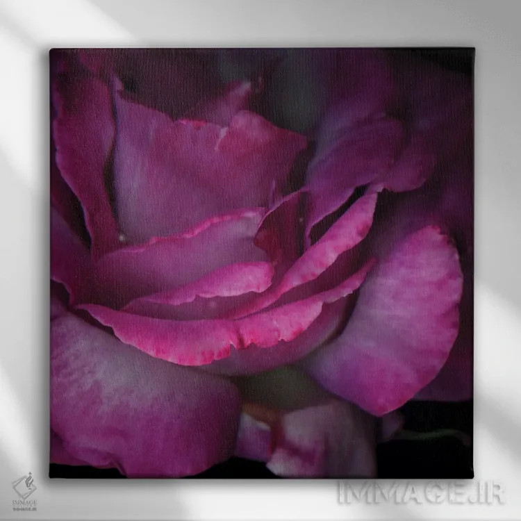 تابلو دکوراتیو میان گلبرگ ها را بخوان اثر مگدا ایندیگو - نمای روبهرو روی دیوار