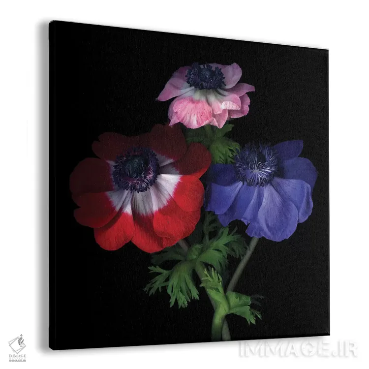 تابلو دکوراتیو شقایق های بنفش با گرده اثر مگدا ایندیگو - نمای پرسپکتیو محصول