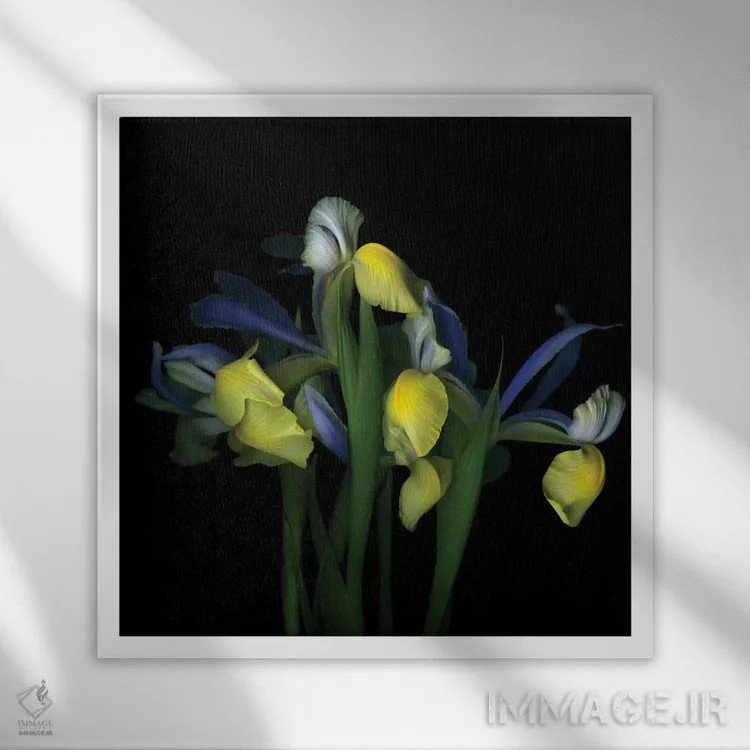 تابلو دکوراتیو نمایش پرزرق وبرق اثر مگدا ایندیگو - نمای قابدار سفید