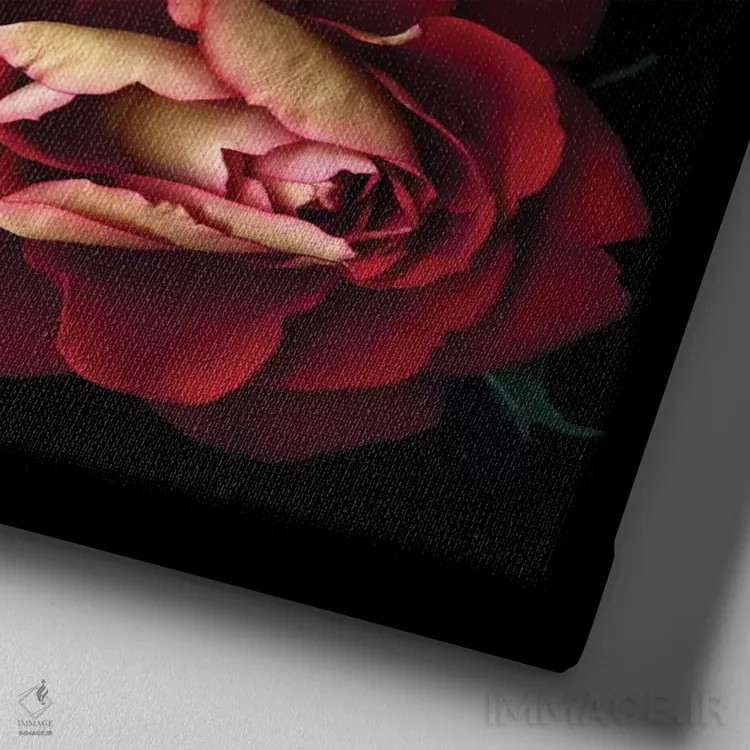 تابلو دکوراتیو سه نفره پرشور اثر مگدا ایندیگو - نمای نزدیک بافت بوم