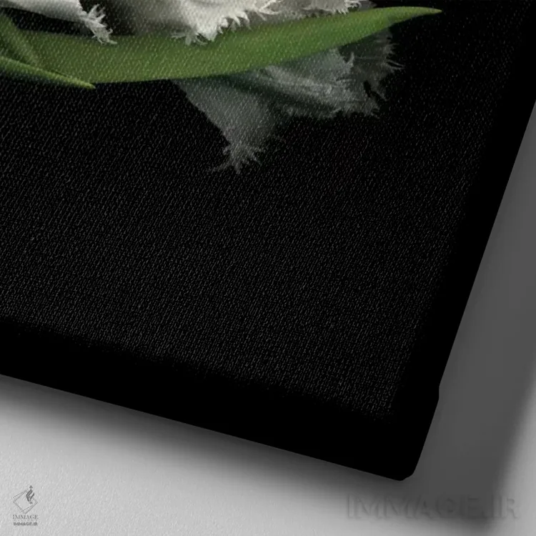 تابلو دکوراتیو حراج شده اثر مگدا ایندیگو - نمای نزدیک بافت بوم