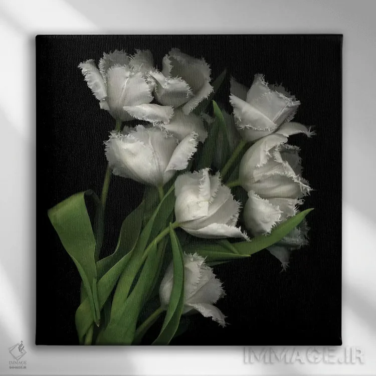 تابلو دکوراتیو حراج شده اثر مگدا ایندیگو - نمای روبهرو روی دیوار