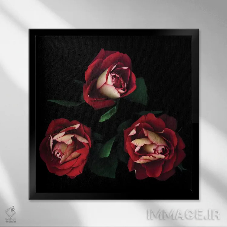 تابلو دکوراتیو سه نفره پرشور اثر مگدا ایندیگو - نمای قابدار مشکی