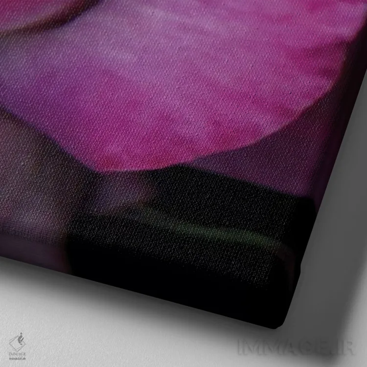 تابلو دکوراتیو میان گلبرگ ها را بخوان اثر مگدا ایندیگو - نمای نزدیک بافت بوم