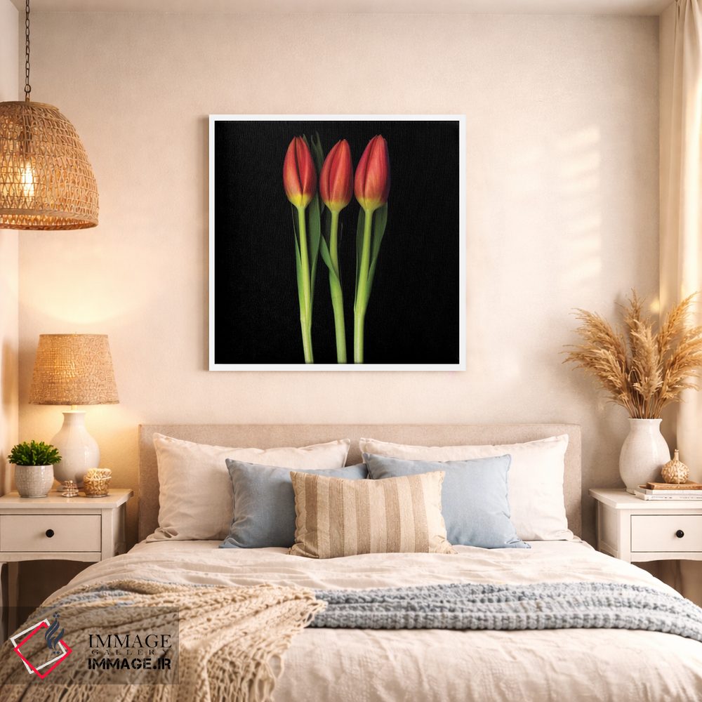 تابلو دکوراتیو سه گانه لاله قرمز اثر مگدا ایندیگو - D1W