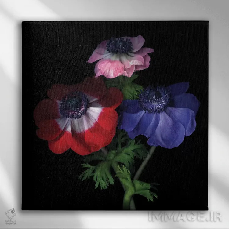 تابلو دکوراتیو شقایق های بنفش با گرده اثر مگدا ایندیگو - نمای روبهرو روی دیوار