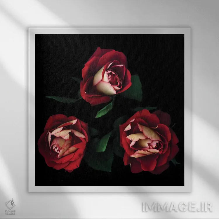 تابلو دکوراتیو سه نفره پرشور اثر مگدا ایندیگو - نمای قابدار سفید