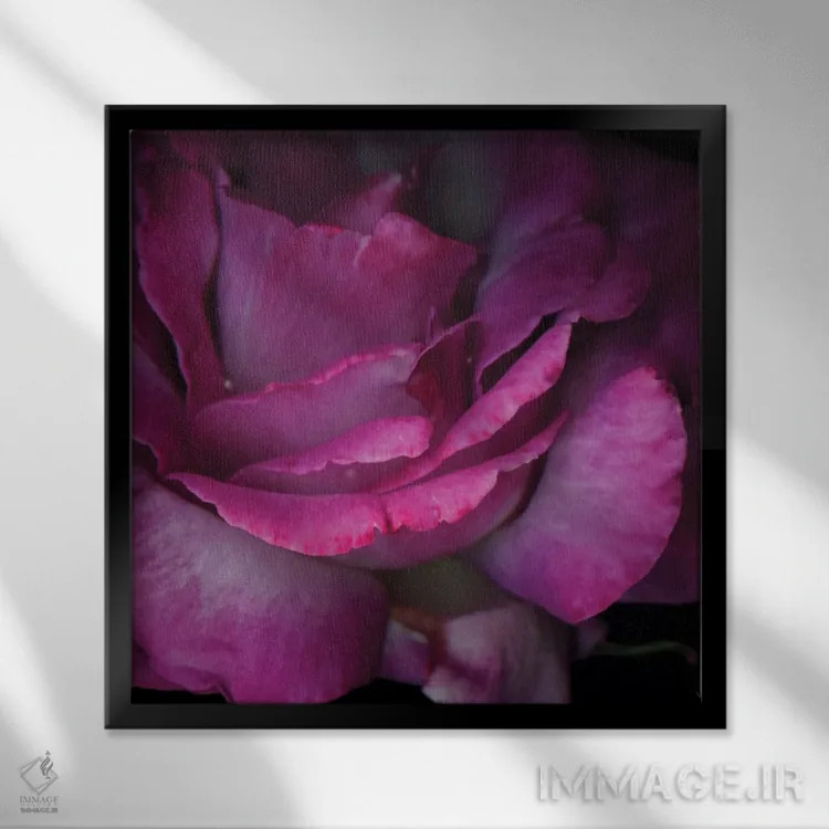 تابلو دکوراتیو میان گلبرگ ها را بخوان اثر مگدا ایندیگو - نمای قابدار مشکی