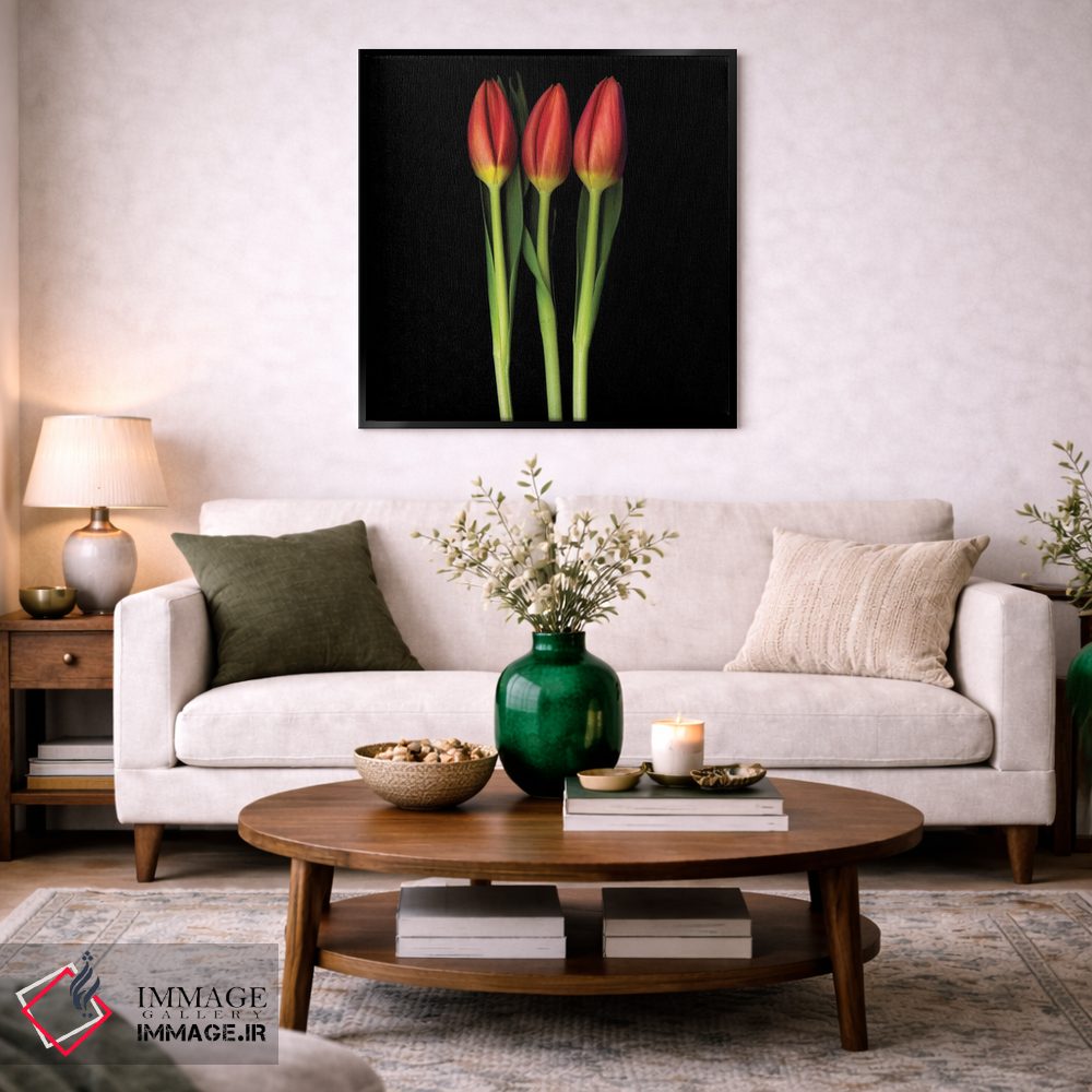 تابلو دکوراتیو سه گانه لاله قرمز اثر مگدا ایندیگو - D4B