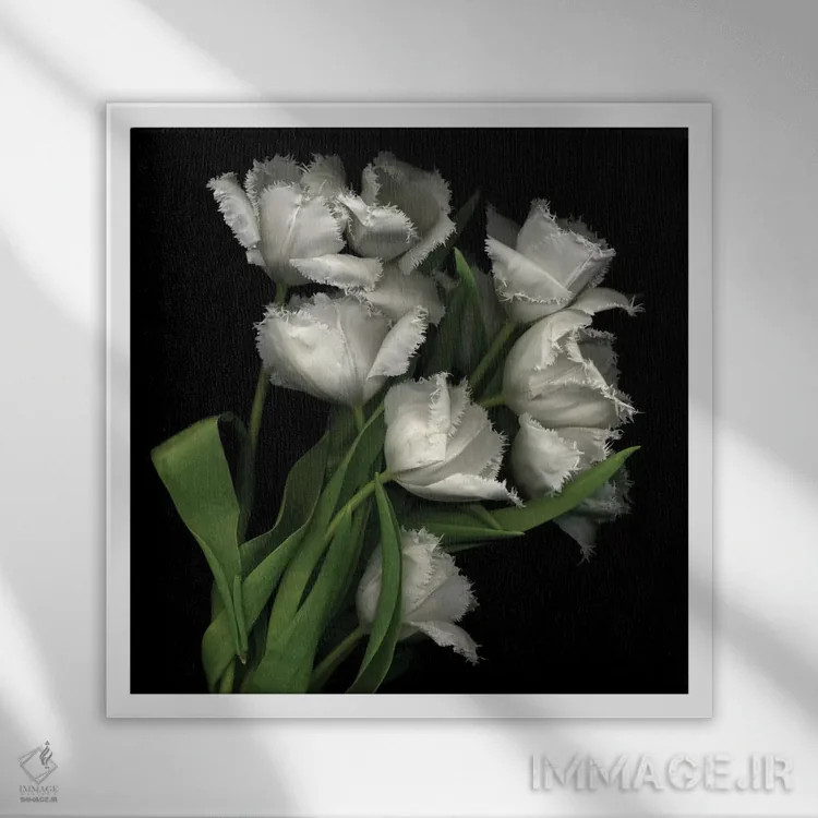 تابلو دکوراتیو حراج شده اثر مگدا ایندیگو - نمای قابدار سفید