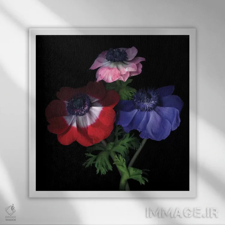 تابلو دکوراتیو شقایق های بنفش با گرده اثر مگدا ایندیگو - نمای قابدار سفید