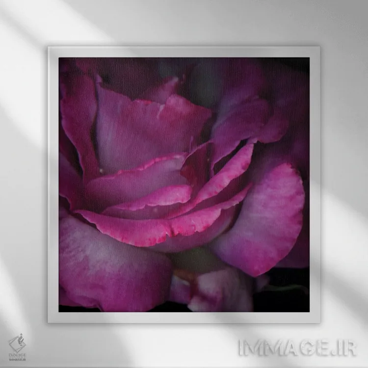 تابلو دکوراتیو میان گلبرگ ها را بخوان اثر مگدا ایندیگو - نمای قابدار سفید