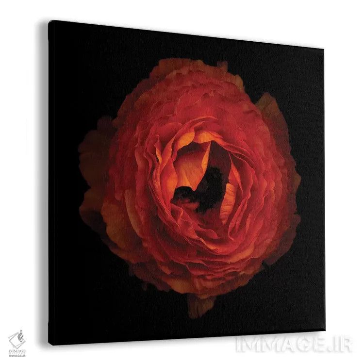 تابلو دکوراتیو گلبرگ های چین خورده اثر مگدا ایندیگو - نمای پرسپکتیو محصول