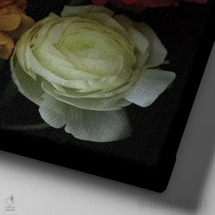 تابلو دکوراتیو با گل ها بگو دو اثر مگدا ایندیگو - نمای نزدیک بافت بوم