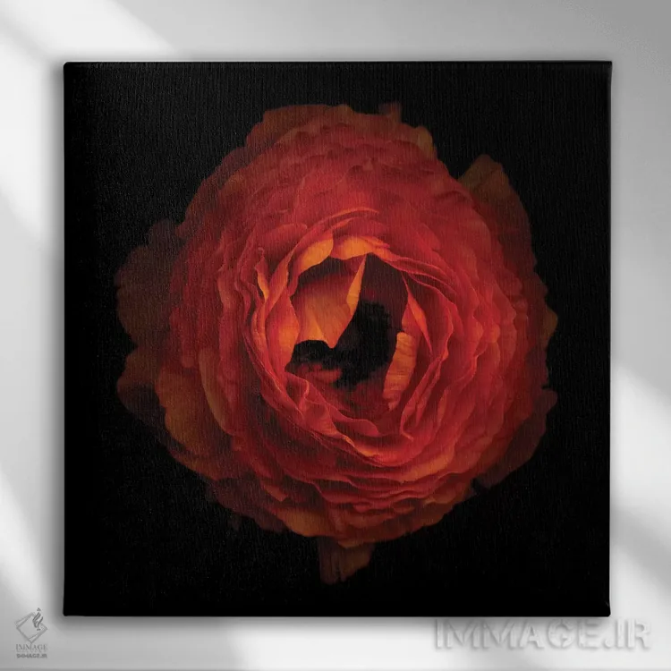 تابلو دکوراتیو گلبرگ های چین خورده اثر مگدا ایندیگو - نمای روبهرو روی دیوار